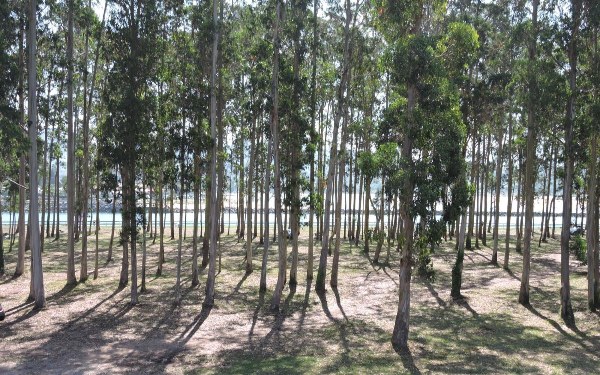 Apartamento Pie De Playa, El Puntal-Villaviciosa Villaviciosa  Esterno foto